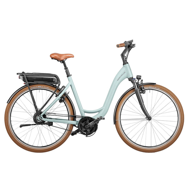 Bicicleta eléctrica Riese Müller Swing Vario Verde (Más 1 complemento)