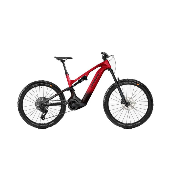 Bicicleta eléctrica Haibike ALLMTN CF 9 / C1